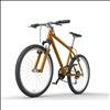 Fahrrad Herrenrad Mountainbike